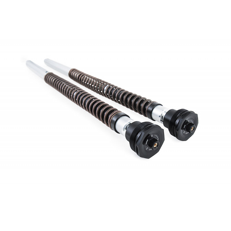 Öhlins NIX 22 Cartridge Kit CB750 Hornet 2025 RH24