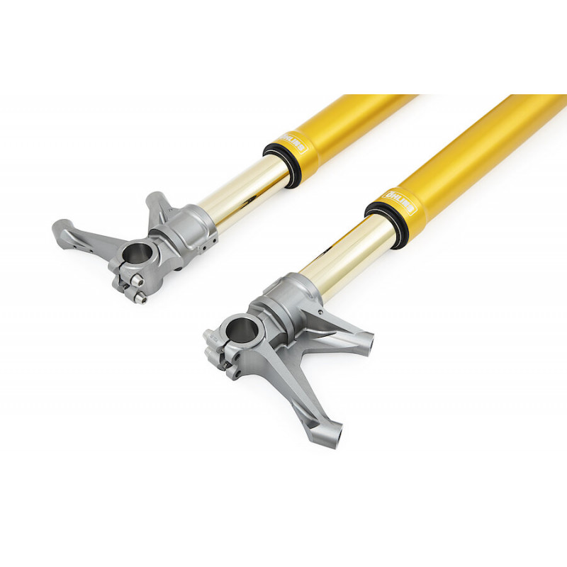 Öhlins FGR 250 USD Telegabel Rennsport