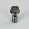 Hohlschraube einfach M10x1.00