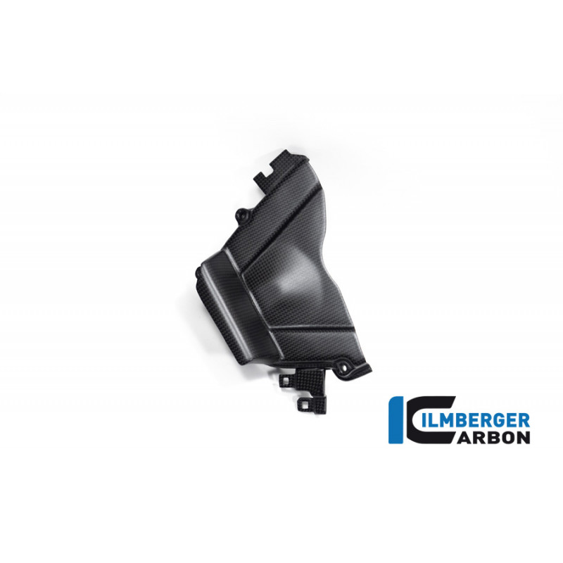 Carbon Ritzelabdeckung SC82 matt