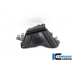 Carbon Ritzelabdeckung SC82 matt