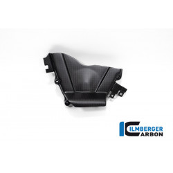 Carbon Ritzelabdeckung SC82 matt