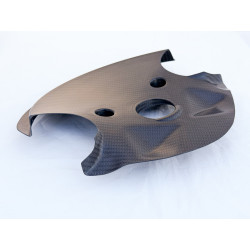 Carbon Windabweiserblech