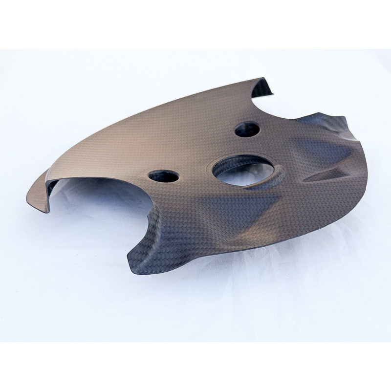 Carbon Windabweiserblech
