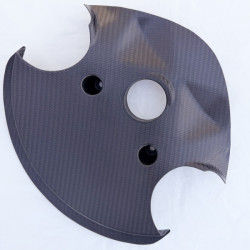 Carbon Windabweiserblech